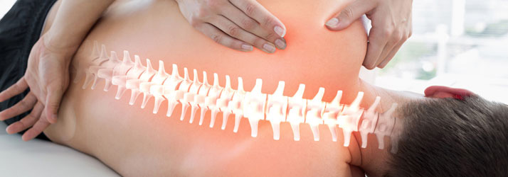 Chiropractic Rochester Hills MI